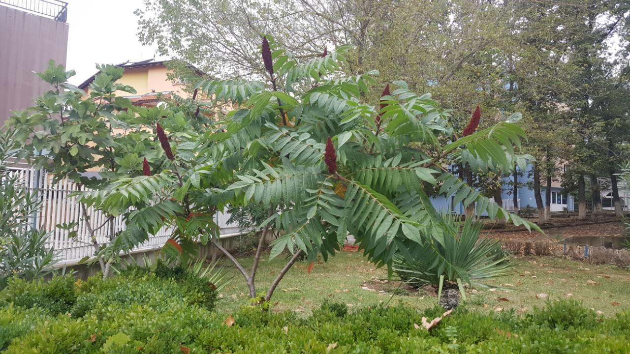 מלון קיטן Park 1 מראה חיצוני תמונה