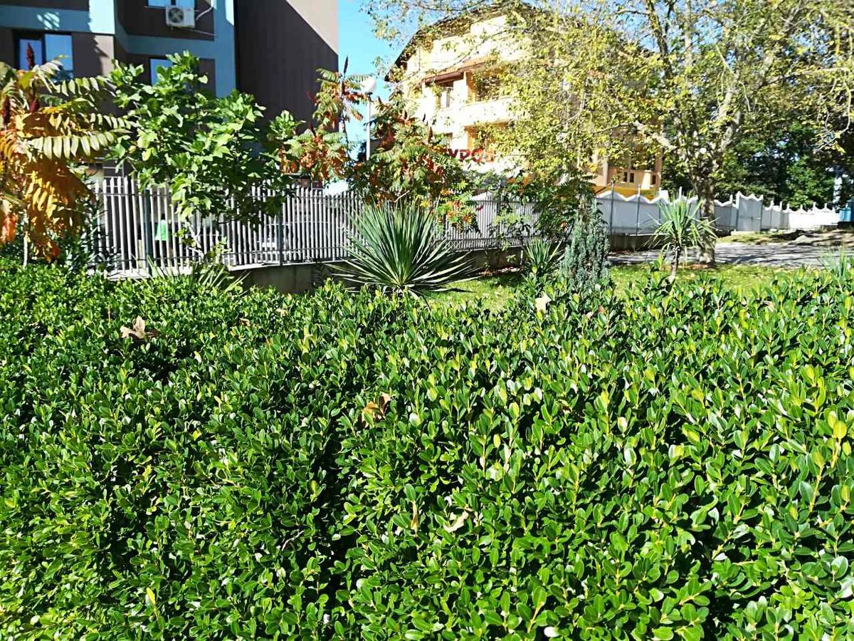 מלון קיטן Park 1 מראה חיצוני תמונה